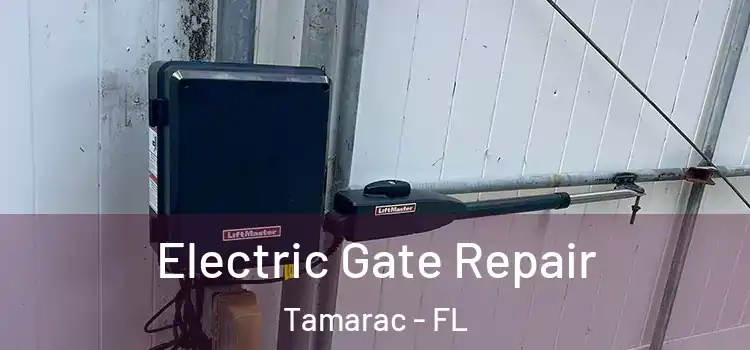 Electric Gate Repair Tamarac - FL