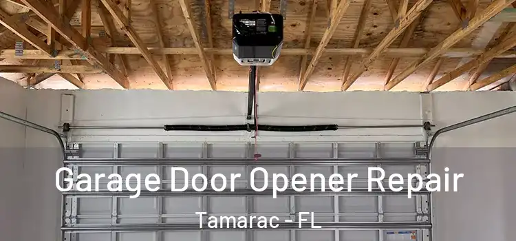  Garage Door Opener Repair Tamarac - FL