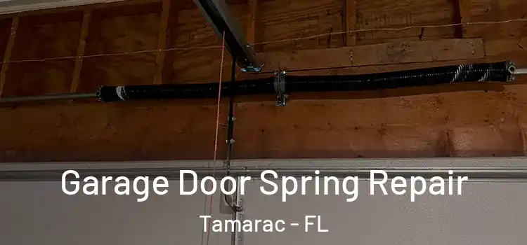  Garage Door Spring Repair Tamarac - FL