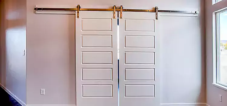 Glass Barn Door with Installation Hardware Kit Tamarac