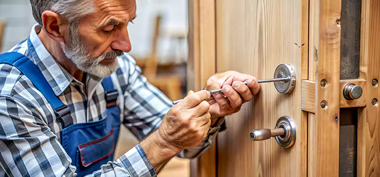 Mortise Replacement Lock Tamarac